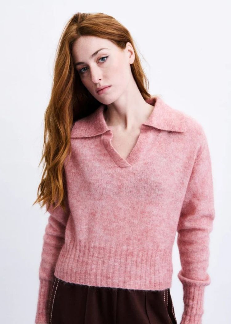 CHM26751-ROSE rose