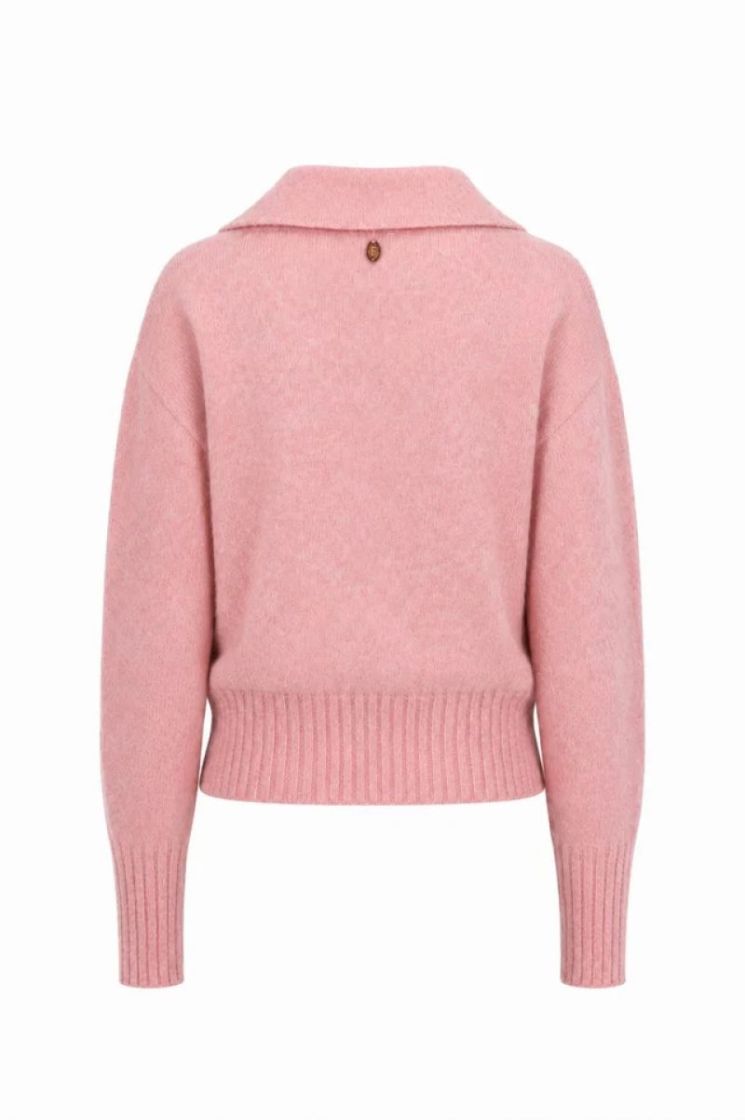 CHM26751-ROSE rose