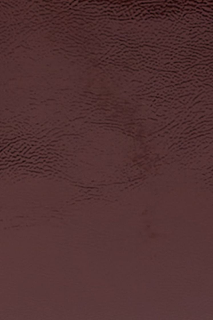10979-600 PORTO RED wine